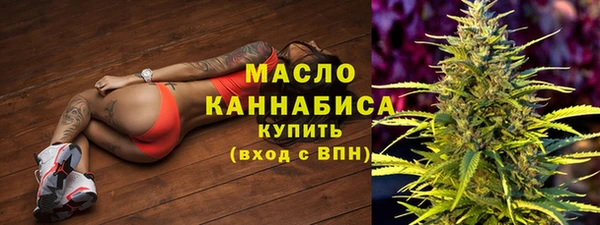 индика Переславль-Залесский