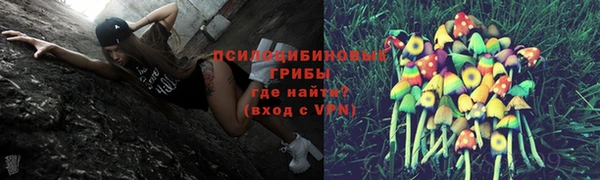 2c-b Абинск