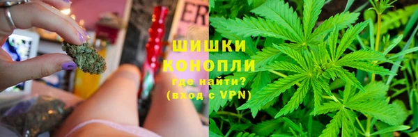 прущие крисы Абаза