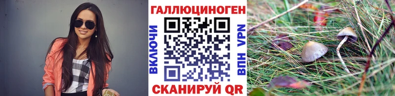 Галлюциногенные грибы Cubensis  Судогда 